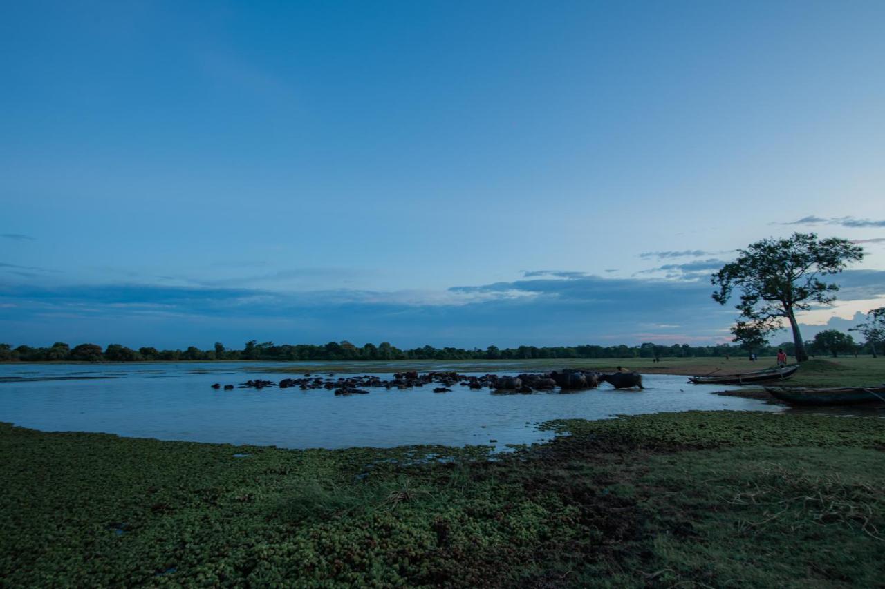 Vila Tranquil Wild Tanamalwila Exteriér fotografie